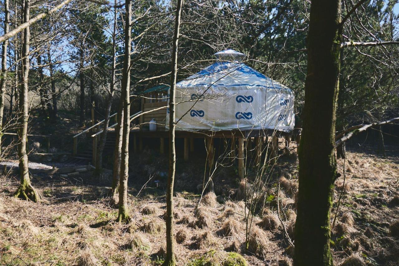 Elf Yurt - Yurtopia Hotel Aberystwyth Bagian luar foto