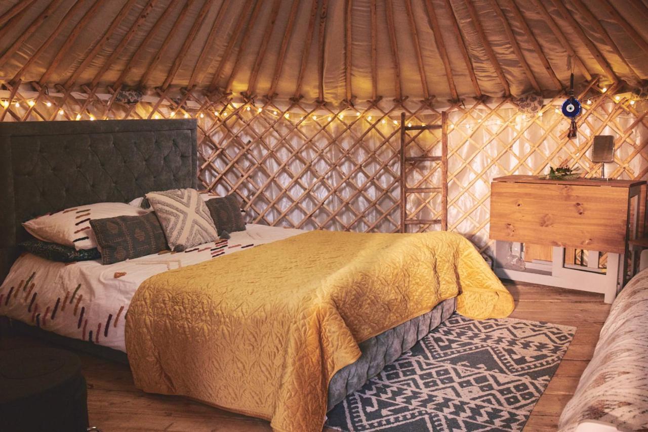 Elf Yurt - Yurtopia Hotel Aberystwyth Bagian luar foto