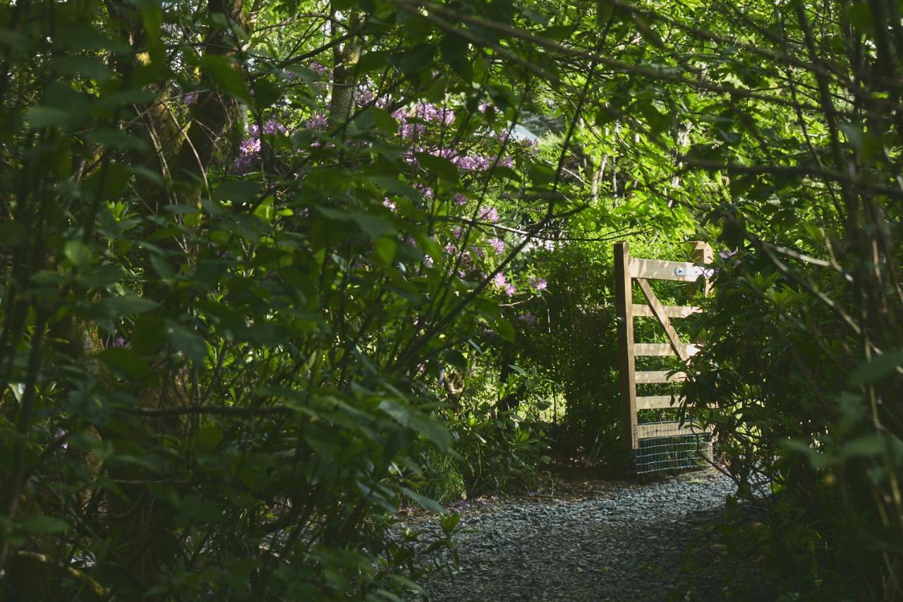 Elf Yurt - Yurtopia Hotel Aberystwyth Bagian luar foto